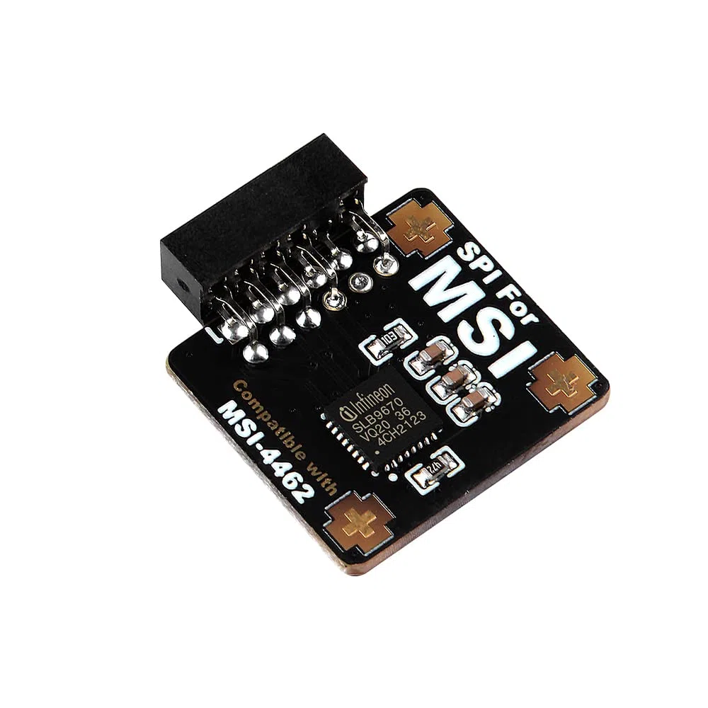 Modulo TPM2.0 TPM SPI 12 pin modulo con infineon SLB 9670 per scheda madre MSI compatibile con TPM2.0 (MS-4462)