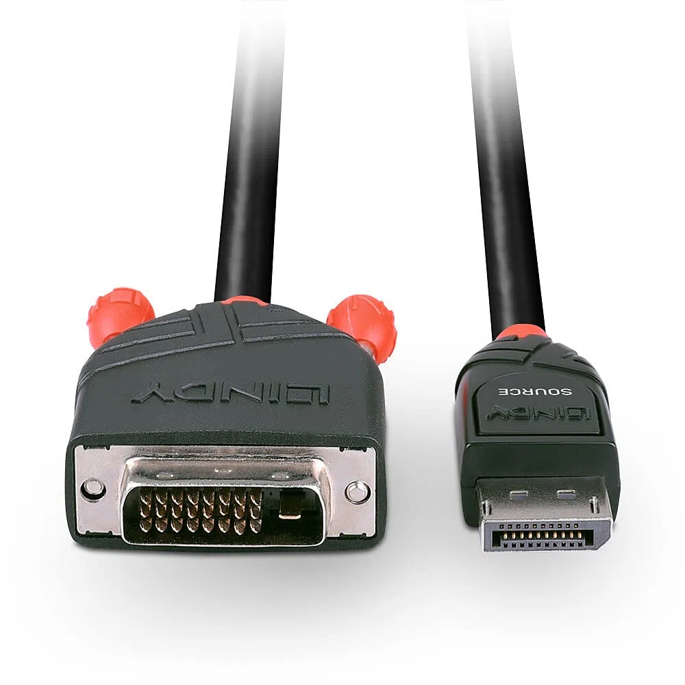Lindy 41491 Cavo DisplayPort/DVI-D Attivo, 2 m, Nero