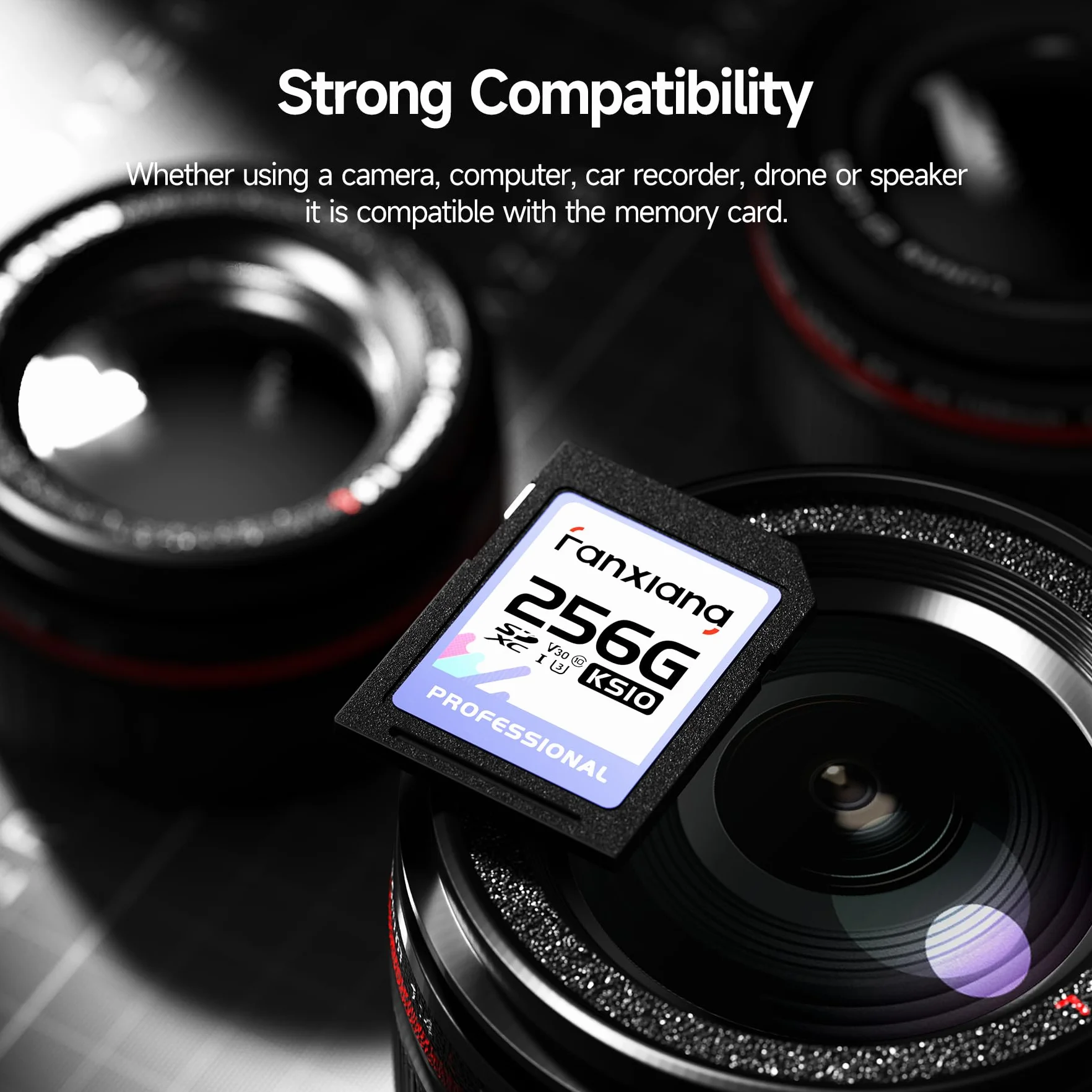 fanxiang Scheda sd 256GB - Scheda di Memoria SDXC UHS-I fino a 95MB/s in Lettura - Class 10, U3, V30 - SD Card Registrare e Riprodurre video in 4K per Fotografi Professionisti, Videografi - KS10