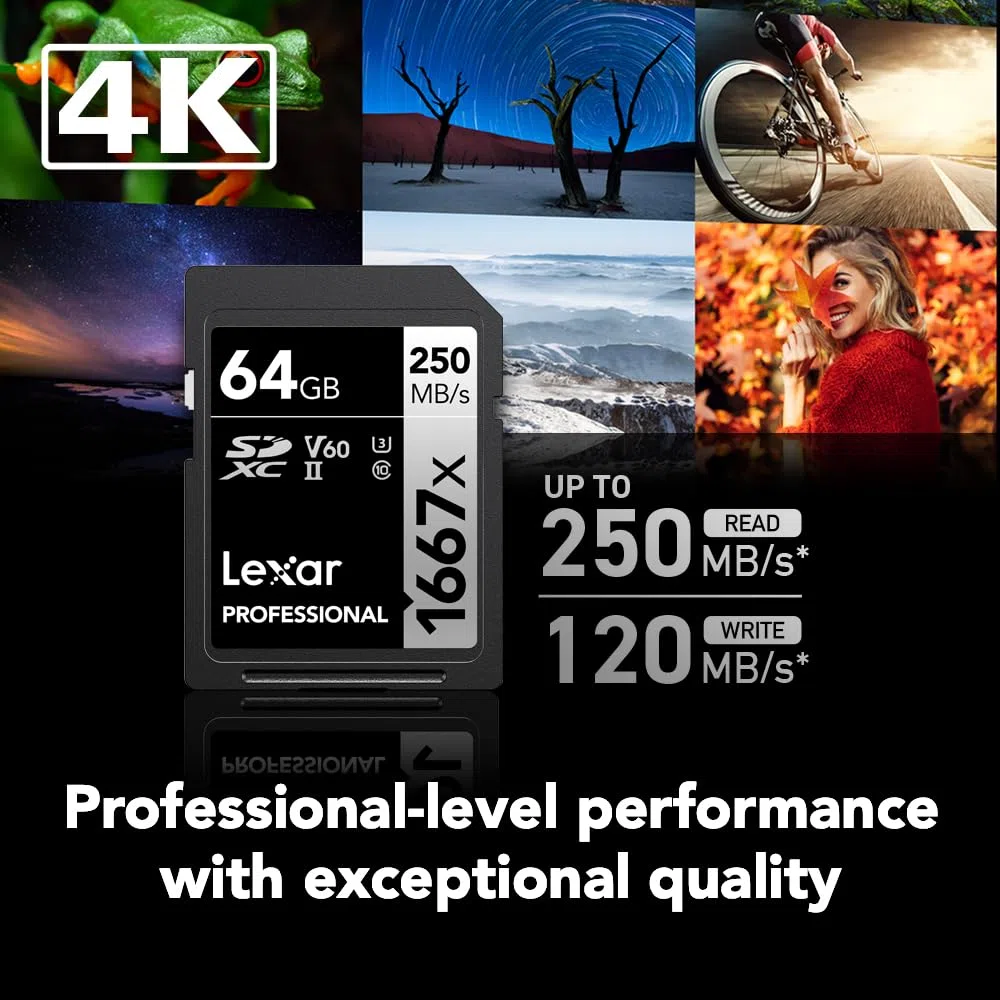 Lexar Schede di memoria professionali SDXC UHS-II, 1667 x 64 GB, C10, U3, V60, video Full HD e 4K, fino a 250 MB/s in lettura, per fotografi professionisti, videografi e appassionati (LSD64GCBNA16672)