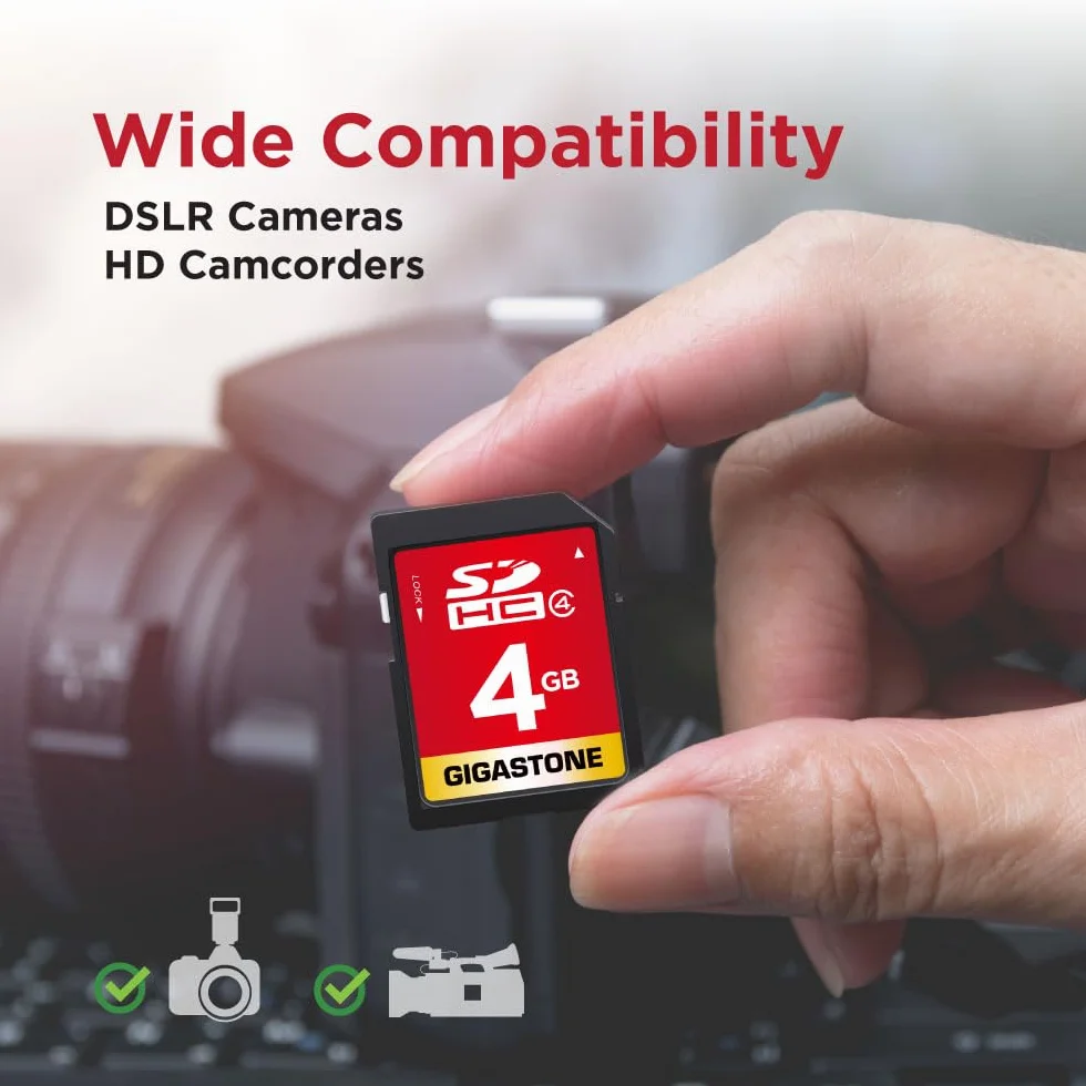 Gigastone Scheda di memoria SDHC da 4 GB, Premium Series, ad alta velocità, compatibile con foto, video, musica, file vocali, videocamera, PC, classe 4, con 1 mini custodia