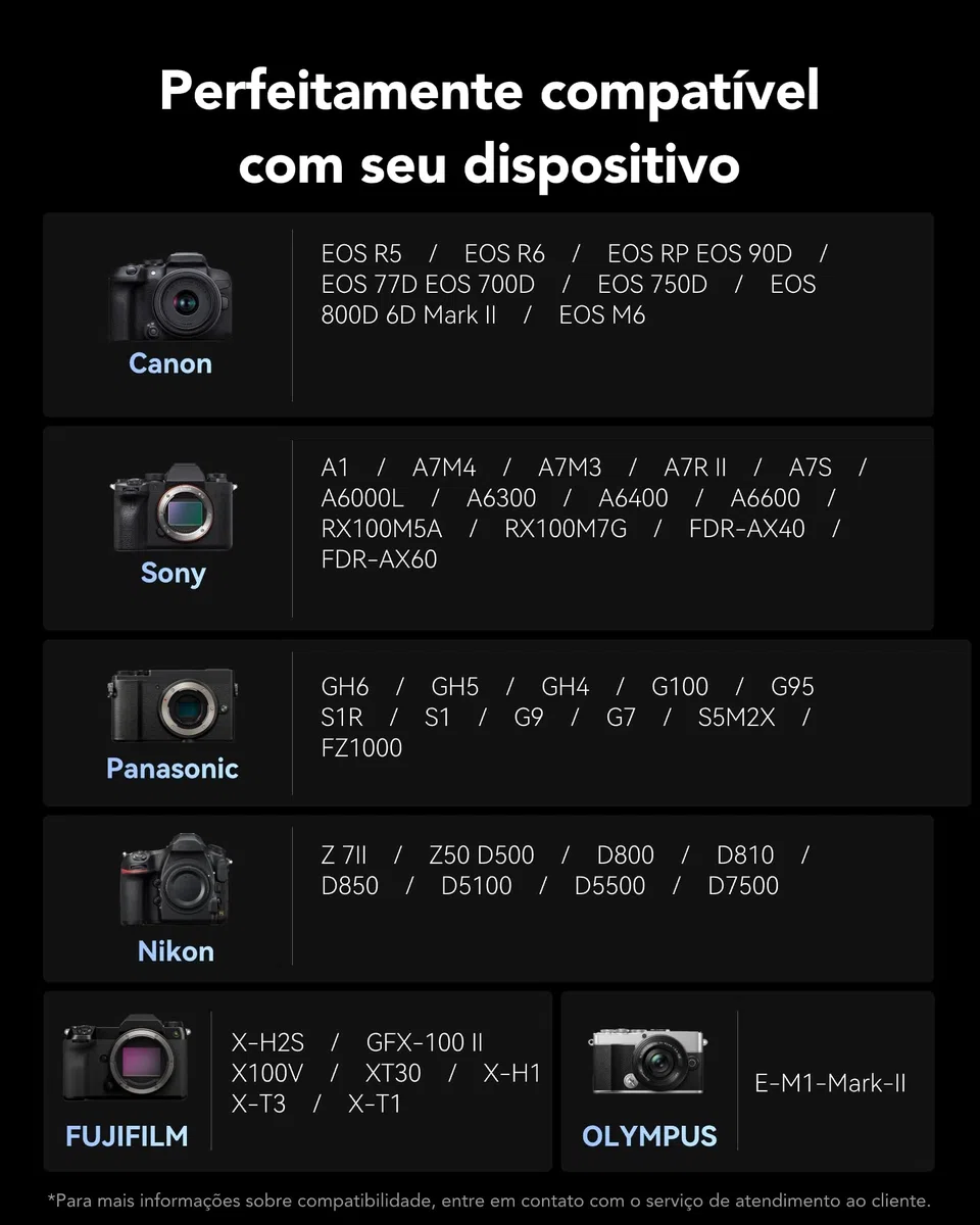 Lexar Scheda di memoria professionale Silver Plus SDXC UHS-I da 256 GB
