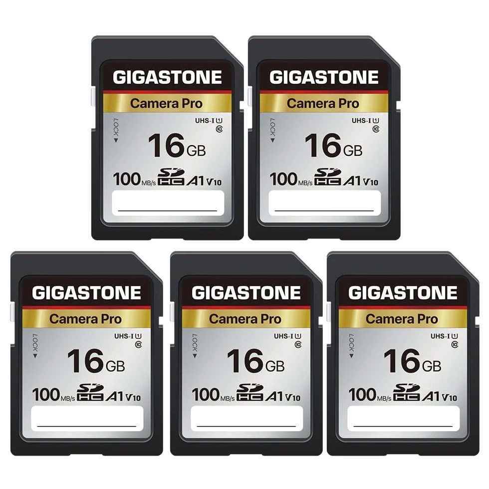 GIGASTONE Scheda SD 16GB, Set da 5, 4K Camera Pro, V10, Scheda Memoria 16 GB SDHC, Velocità fino a 100MB/s Compatibile con Canon Nikon Sony Camcorder, V10 UHS-I Classe 10 per video 4K UHD