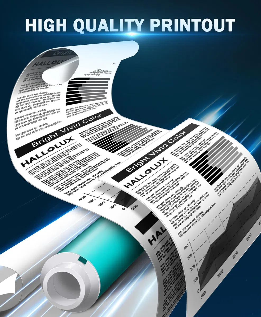 HALLOLUX TN2420 Toner, Alta Capacità, fino a 3000 Pagine, Compatibili per toner Brother TN2420 TN2410 TN-2420 TN-2410 per Toner Brother MFC-L2710DW L2710DN L2730DW L2750DW DCP-L2510D (Nero, 2-Pack)