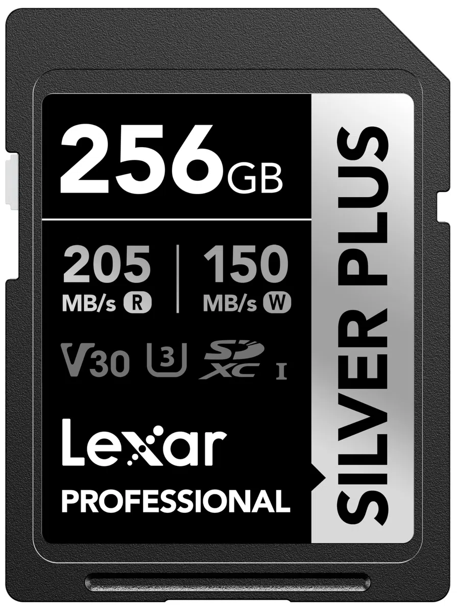 Lexar Scheda di memoria professionale Silver Plus SDXC UHS-I da 256 GB