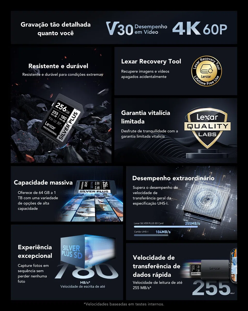 Lexar Scheda di memoria professionale Silver Plus SDXC UHS-I da 256 GB