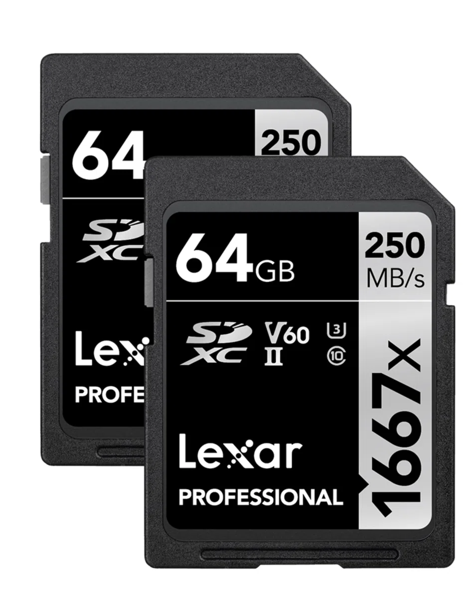 Lexar Schede di memoria professionali SDXC UHS-II, 1667 x 64 GB, C10, U3, V60, video Full HD e 4K, fino a 250 MB/s in lettura, per fotografi professionisti, videografi e appassionati (LSD64GCBNA16672)