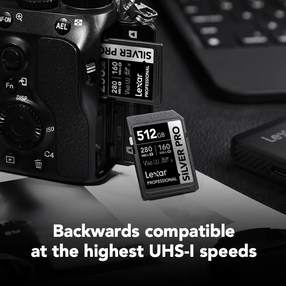 Lexar Scheda di memoria professionale Silver Pro da 512 GB, UHS-II, C10, U3, V60, Full HD, 4K, fino a 280 MB/s in lettura, per fotografi professionisti, videografi e appassionati (LSDSIPR512G-BNNNU)