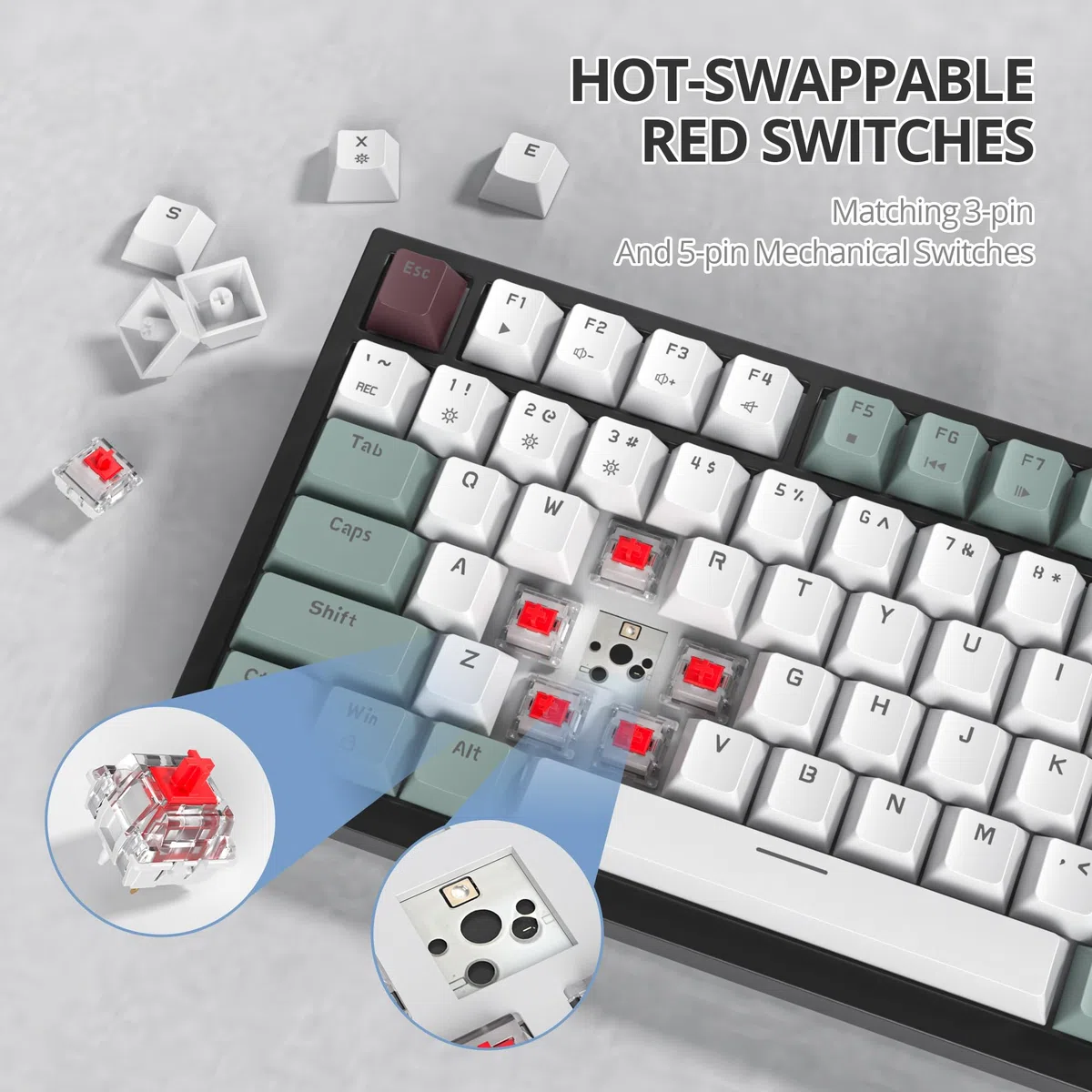 SOLIDEE Tastiera da gioco meccanica cablata 75%,tastiera hot swappable,Tastiera meccanica Gasket,tastiera da gioco meccanica compatta rgb, retroilluminazione,82 tasti Tastiera NKRO con il pulsante(82
