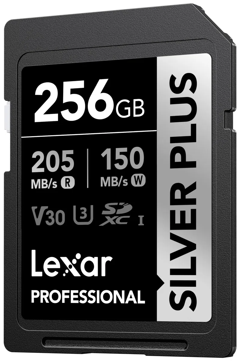 Lexar Scheda di memoria professionale Silver Plus SDXC UHS-I da 256 GB